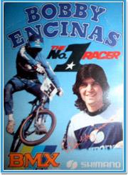 �{�r�[�E�G���V�i�X